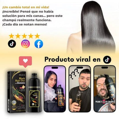 Black Hair Dye Shampoo 3 en 1 Negro